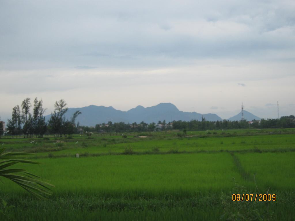 Click image for larger version

Name:	TRAI_HE_2009 (56).jpg
Views:	1
Size:	48.3 KB
ID:	1364359