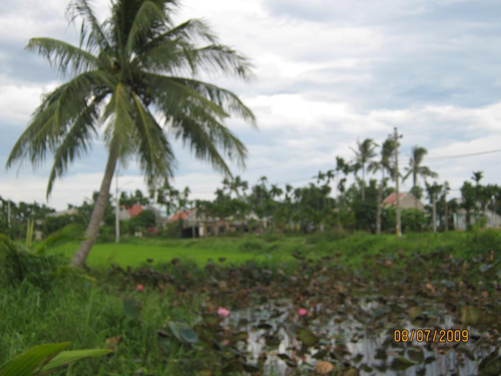 Click image for larger version

Name:	TRAI_HE_2009 (4).jpg
Views:	1
Size:	78.7 KB
ID:	1364357