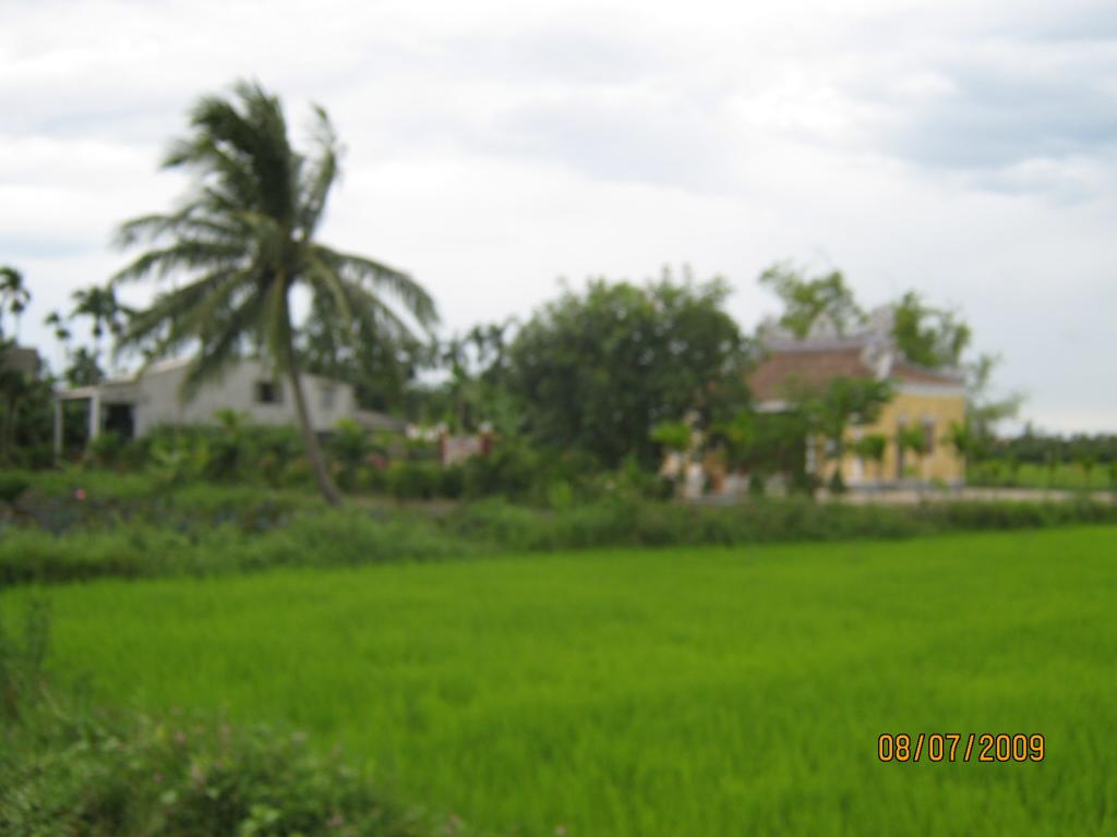 Click image for larger version

Name:	1Picture (10).jpg
Views:	1
Size:	50.5 KB
ID:	1364360